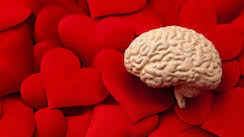 brain love